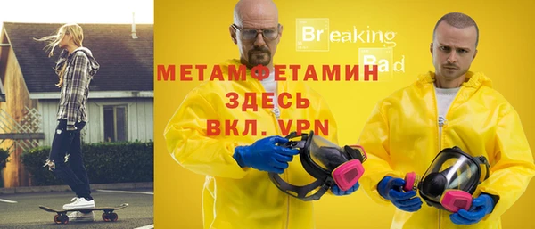 прущие грибы Михайловск