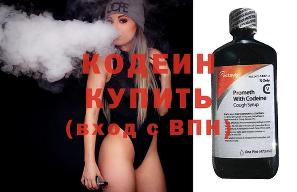 прущие грибы Михайловск