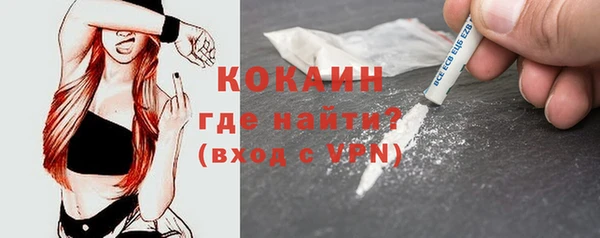 прущие грибы Михайловск