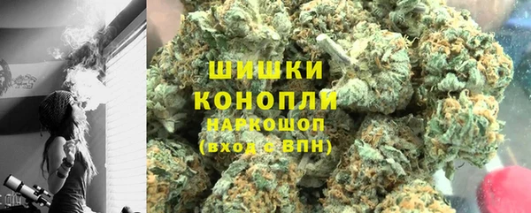 прущие грибы Михайловск