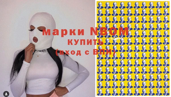 прущие грибы Михайловск