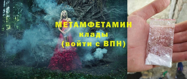 прущие грибы Михайловск